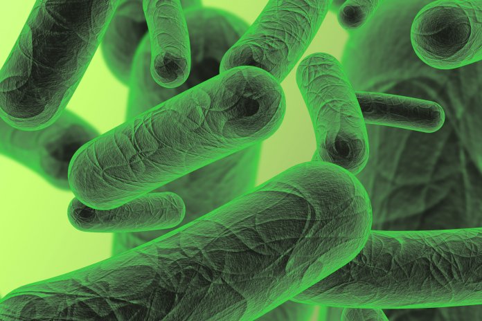 Are Bad Bacteria in Your Gut Feasting on Your Leftovers? Are Bad Bacteria in Your Gut Feasting on Your Leftovers?